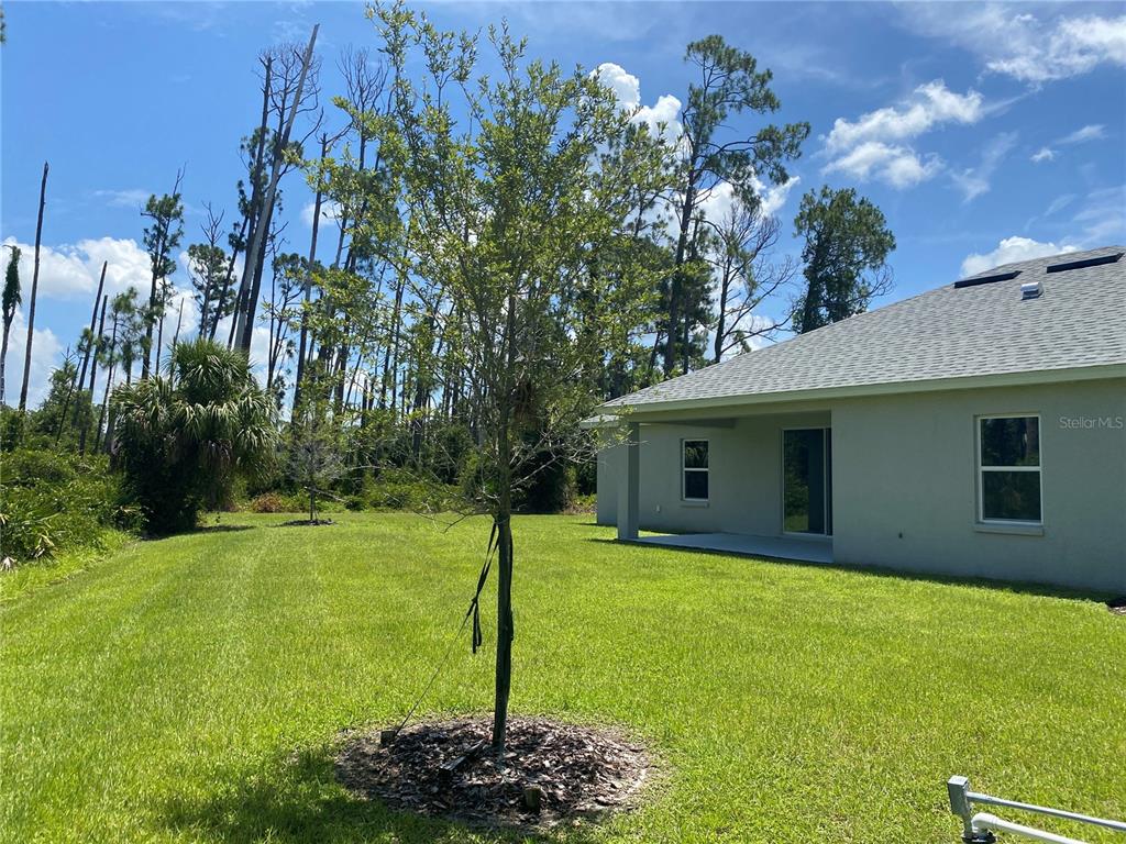A view of a house exterior with a grassy backyard and a young tree — 1828 SPANIEL AVENUE, NORTH PORT, FL