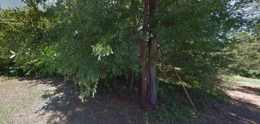 A utility pole stands next to a large tree in a wooded, grassy outdoor area — ALACHUA LEROYS ADDITION TO, ALACHUA, FL