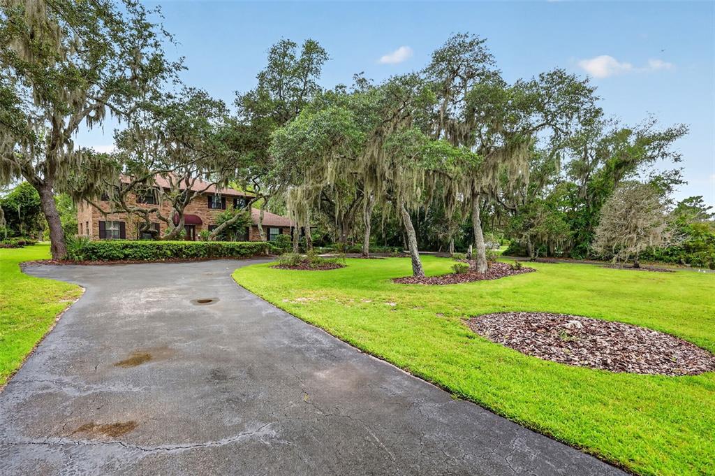A brick house sits behind a long asphalt driveway surrounded by large, moss-draped oak trees — 15240 SHADY LANE, TAVARES, FL