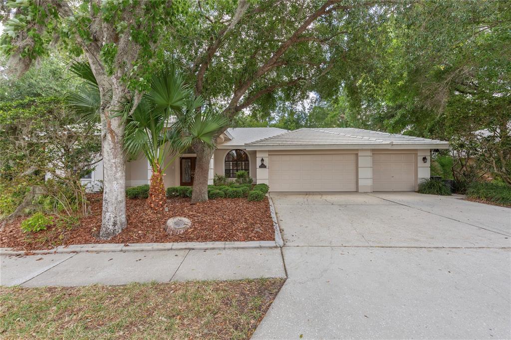 A single-story house with a three-car garage, a concrete driveway, and mature trees in front — 50 KELLEYS TRAIL, OLDSMAR, FL