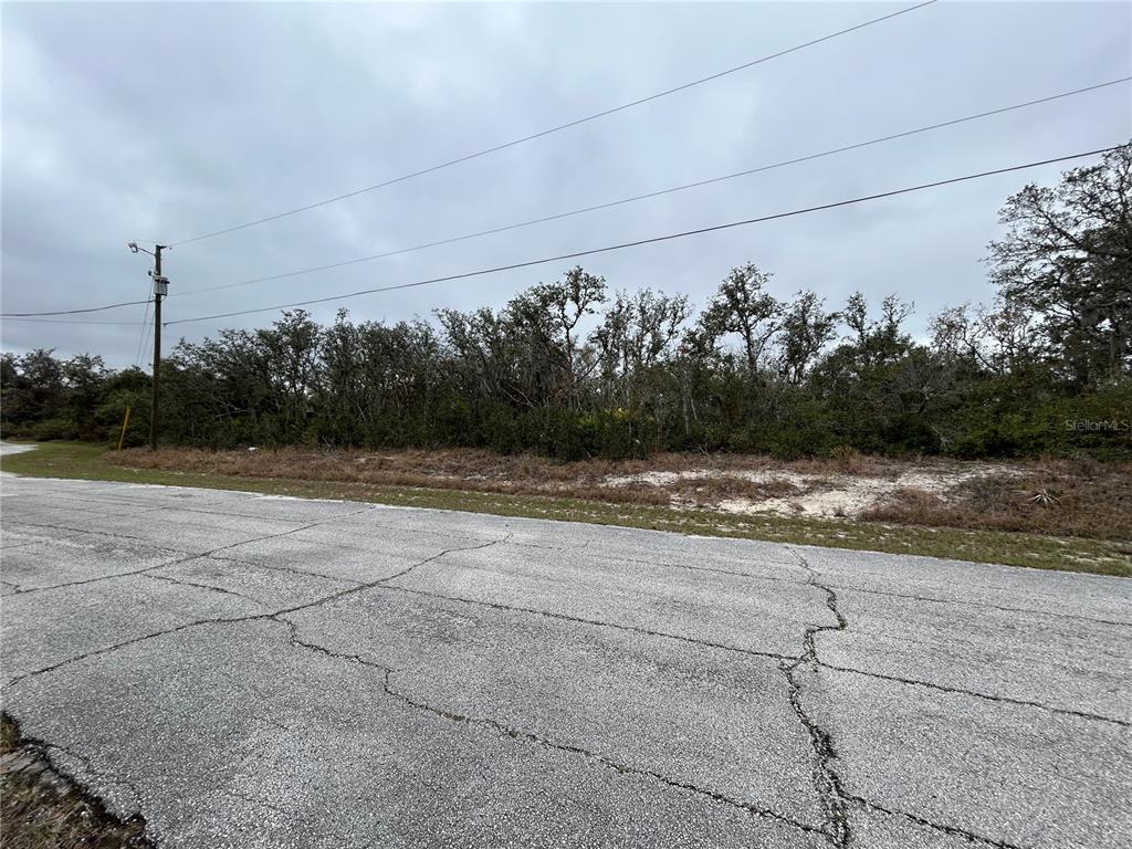 A paved road runs in front of a vacant, wooded lot under a cloudy sky — 509 SARASOTA LANE, KISSIMMEE, FL