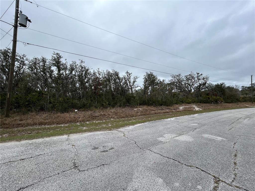A paved road runs alongside a vacant, wooded lot under a cloudy sky — 509 SARASOTA LANE, KISSIMMEE, FL