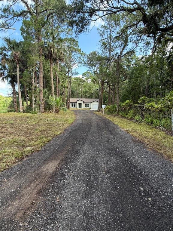 A long gravel driveway leads to a single-story house surrounded by tall trees — 1438 LAKE HARNEY, GENEVA, FL
