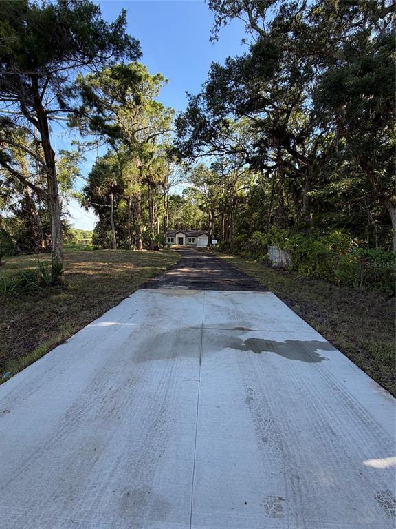 A long concrete driveway leads through a wooded area toward a single-story house — 1438 LAKE HARNEY, GENEVA, FL