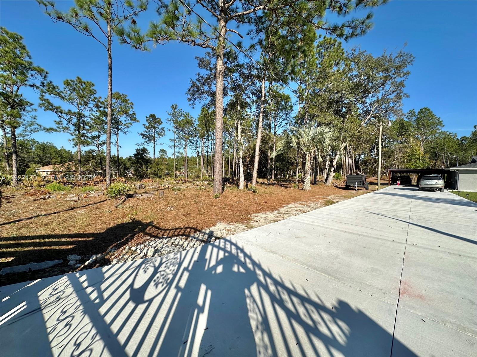 A concrete driveway leads toward a carport and a wooded lot with scattered trees — 6525 SW 138th ter, Ocala FL 33481, OCALA, FL