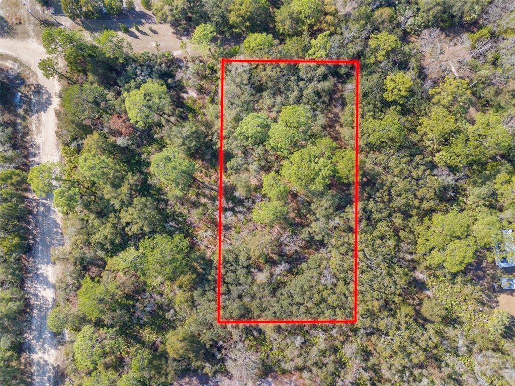 An aerial view shows a rectangular plot of land outlined in red amidst dense trees — 419 N VESPER POINT, CRYSTAL RIVER, FL