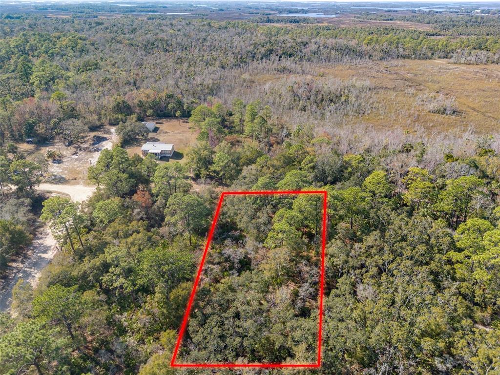 An aerial view shows a rectangular plot of land outlined in red amidst a wooded area — 419 N VESPER POINT, CRYSTAL RIVER, FL