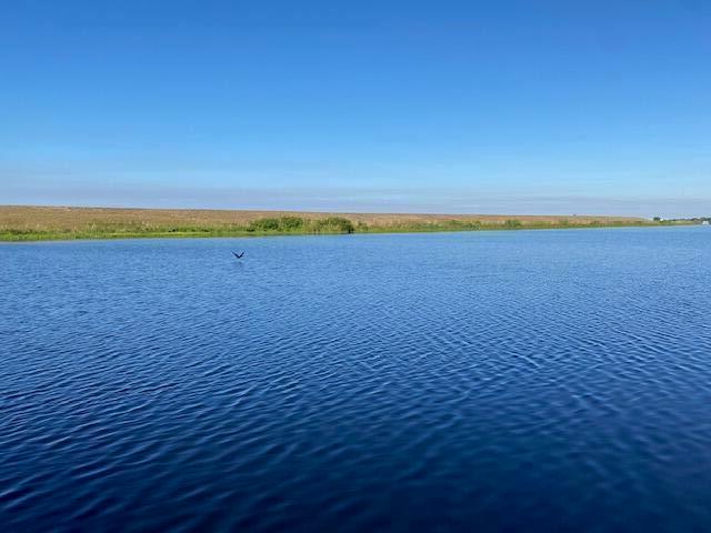 A small bird flies over a calm blue lake with a grassy shoreline under blue skies — 8680 Us-441, Okeechobee FL 34974, OKEECHOBEE, FL