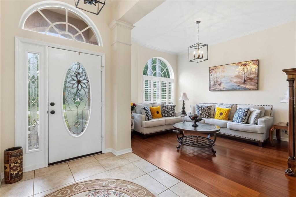 19737 PRINCE BENJAMIN DRIVE, LUTZ, FL — photo 3 of 30