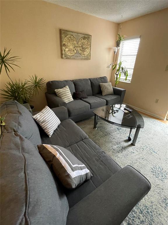 A living room features two gray sofas, a glass coffee table, and a framed map — 239 S MCMULLEN BOOTH ROAD UNIT 38, CLEARWATER, FL