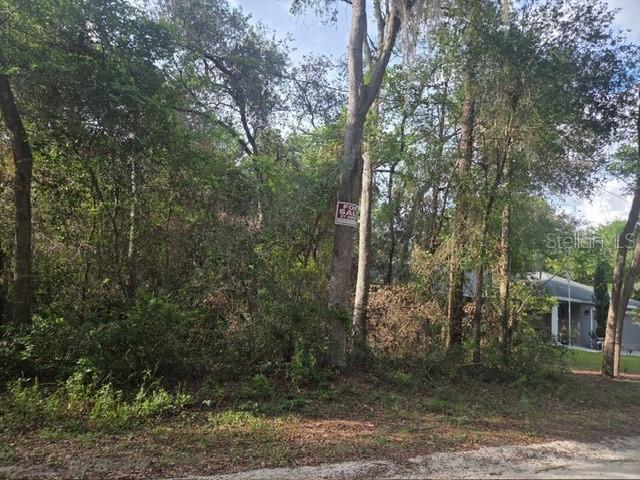 A wooded vacant lot with a for sale sign attached to a tree — 5TH STREET, ORANGE CITY, FL