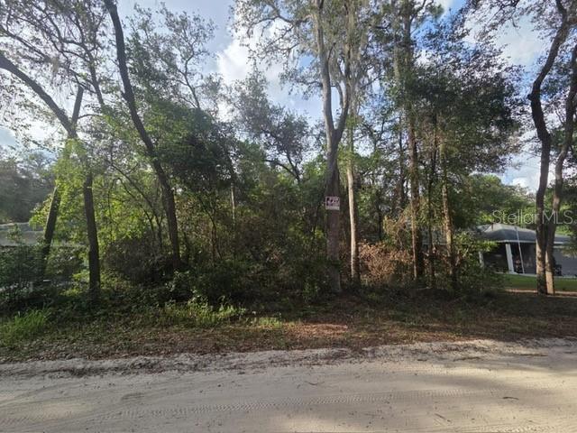 A wooded, undeveloped residential lot features a for-sale sign attached to a tree — 5TH STREET, ORANGE CITY, FL