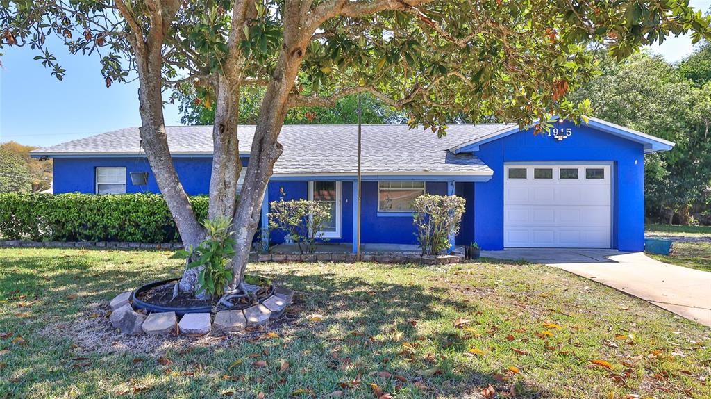 A blue single-story house with a white garage door and a large tree in front — 1915 UMBRELLA TREE DRIVE, EDGEWATER, FL