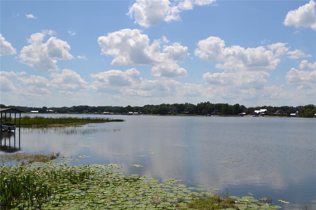 A view of a lake with lily pads in the foreground and a boat dock — 26 SE OCALE WAY, SUMMERFIELD, FL