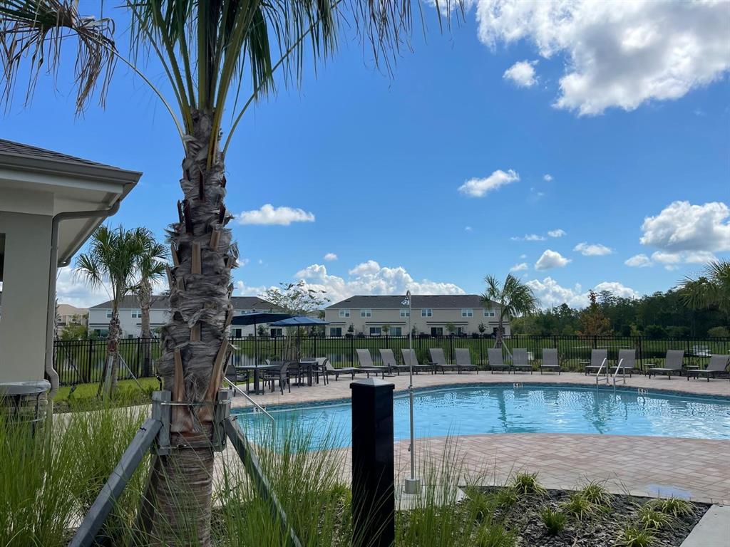 A swimming pool with lounge chairs and a palm tree under a blue sky — 3335 COMPOSITION STREET, KISSIMMEE, FL