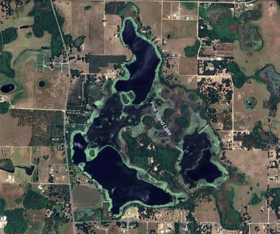 This is an aerial map view of Pine Island Lake surrounded by rural land — 8335 FLORIDA BOYS RANCH ROAD, GROVELAND, FL