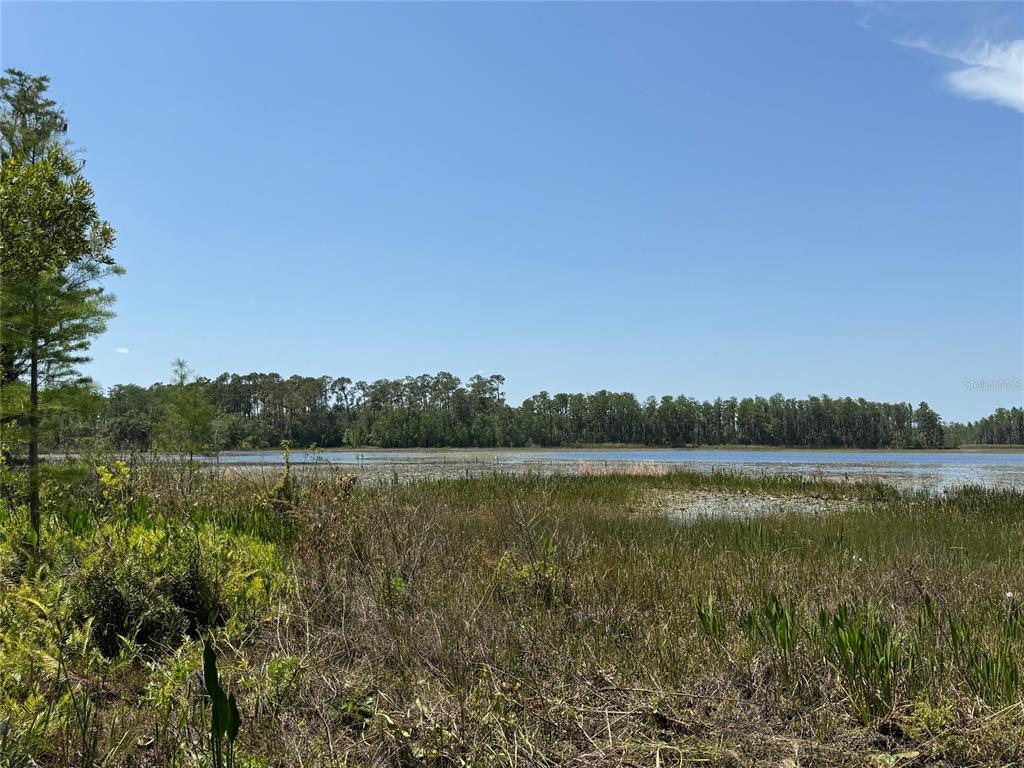 A view of a grassy marsh leading to a lake with a treeline in the distance — 8335 FLORIDA BOYS RANCH ROAD, GROVELAND, FL