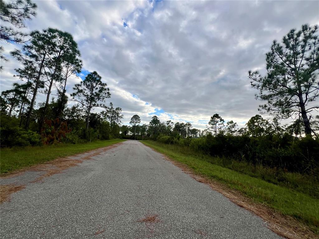 A paved road stretches through a rural landscape lined with pine trees under a cloudy sky — 467 HANSCOM STREET, PORT CHARLOTTE, FL