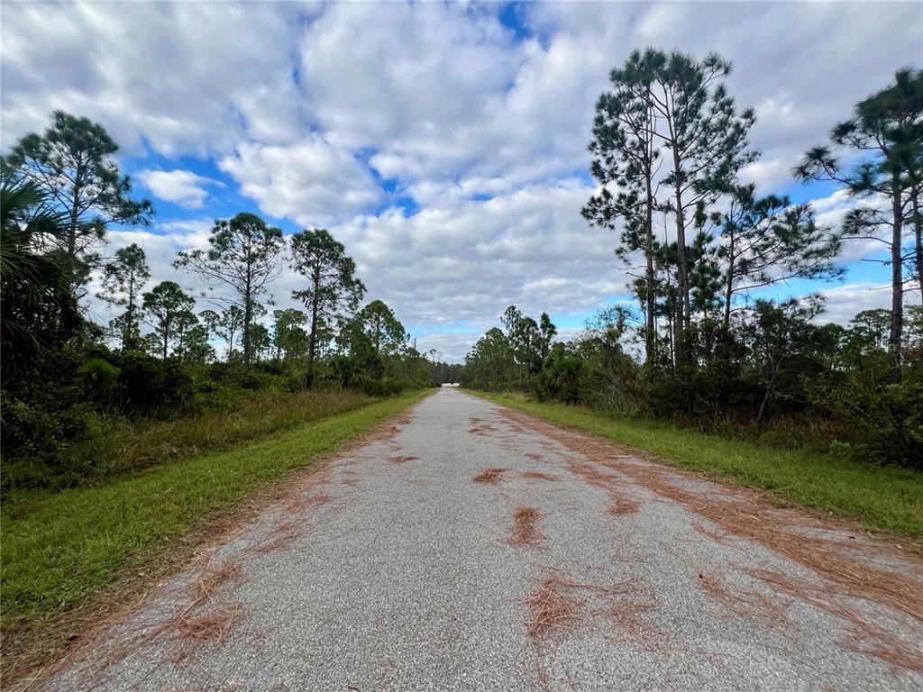 A paved road stretches through a wooded area under a cloudy blue sky — 467 HANSCOM STREET, PORT CHARLOTTE, FL