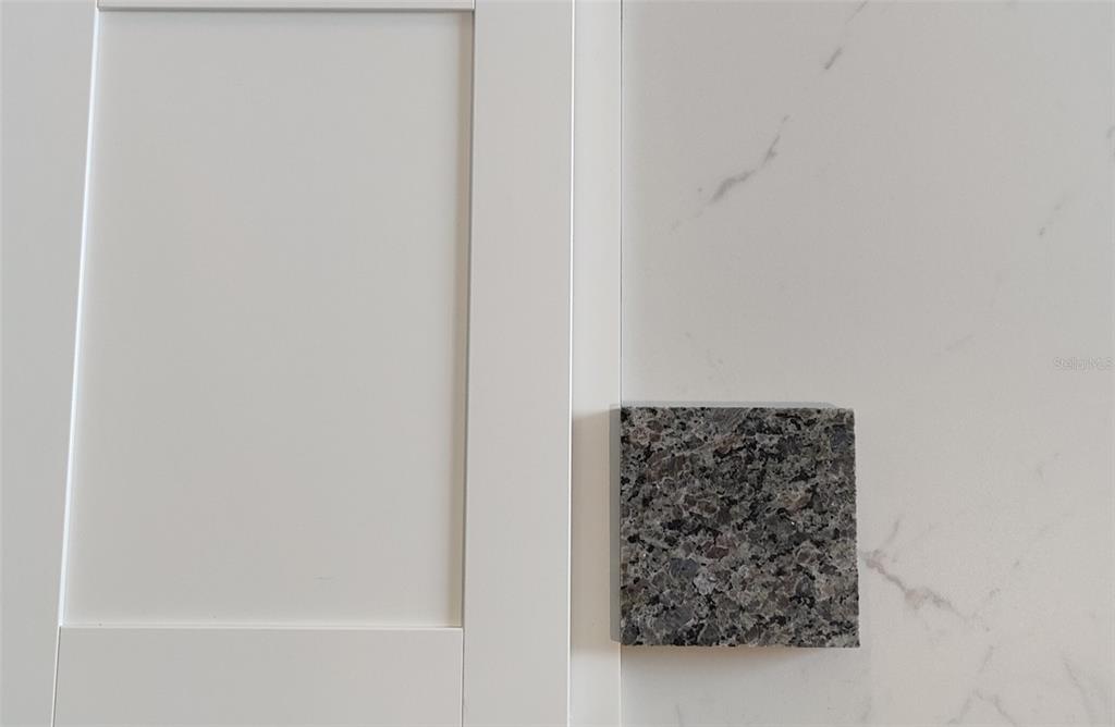 A white cabinet door is placed next to a white marble countertop and granite sample — 25 STATICE COURT, HOMOSASSA, FL