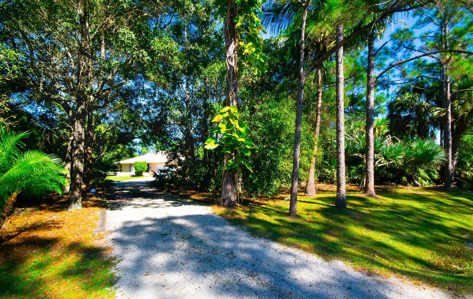 A gravel driveway leads through a wooded yard toward a house in the distance — 12523 169th Court N, Jupiter FL 33478, JUPITER, FL