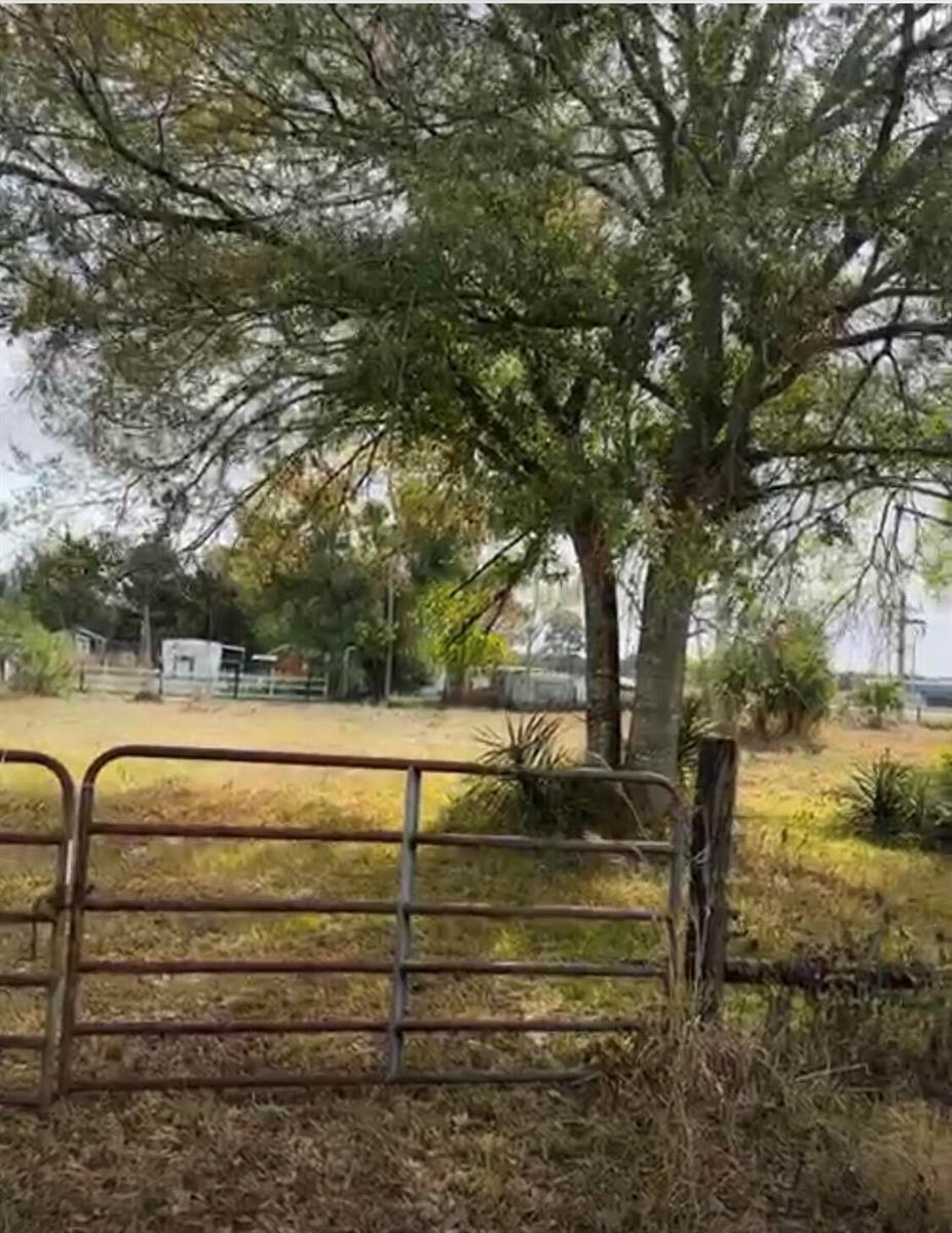 A metal gate stands in the foreground of a grassy lot with a large tree — 854 NE 42nd Terrace, Okeechobee FL 34972, OKEECHOBEE, FL