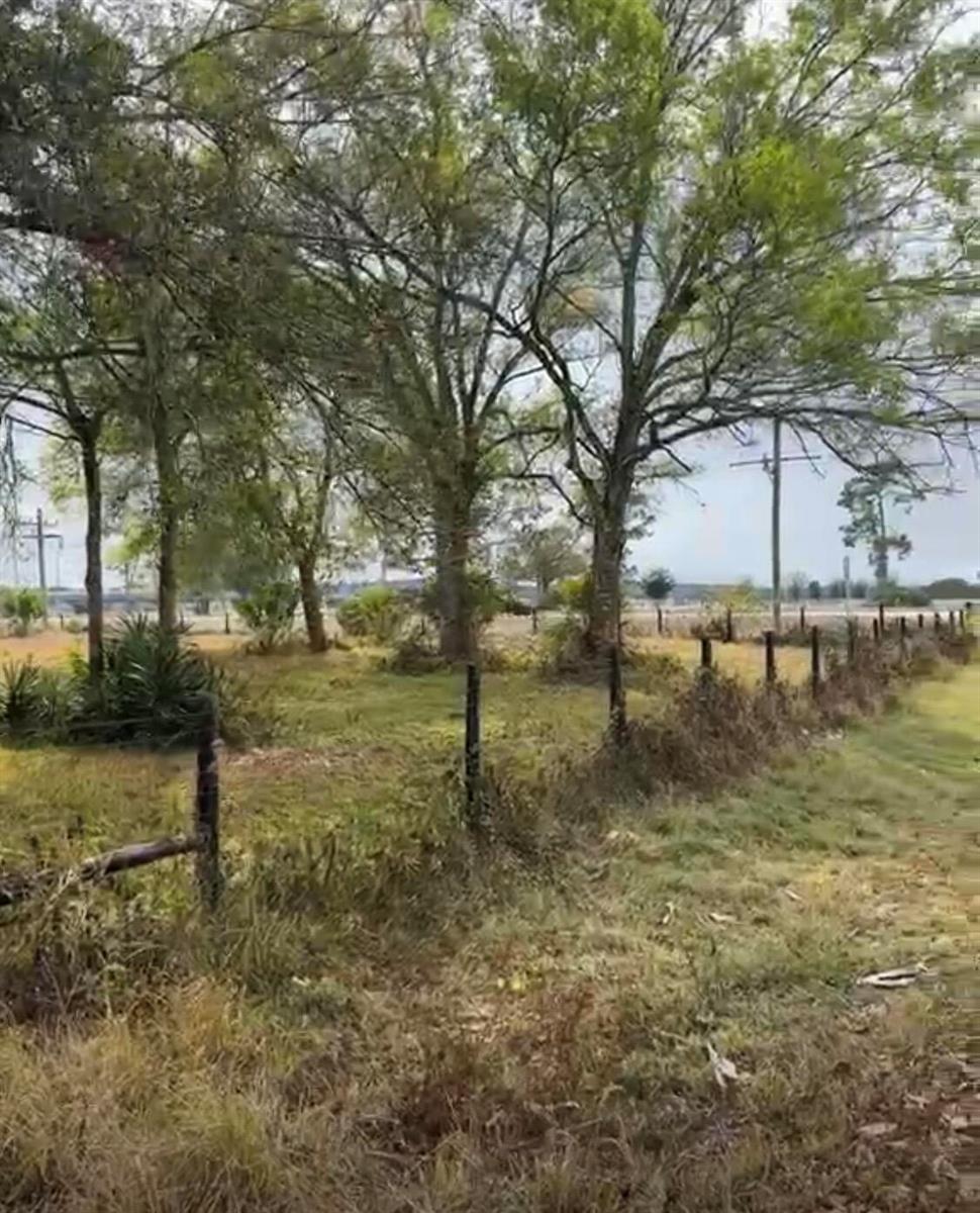 A grassy, tree-filled lot is enclosed by a wire fence along a roadside — 854 NE 42nd Terrace, Okeechobee FL 34972, OKEECHOBEE, FL