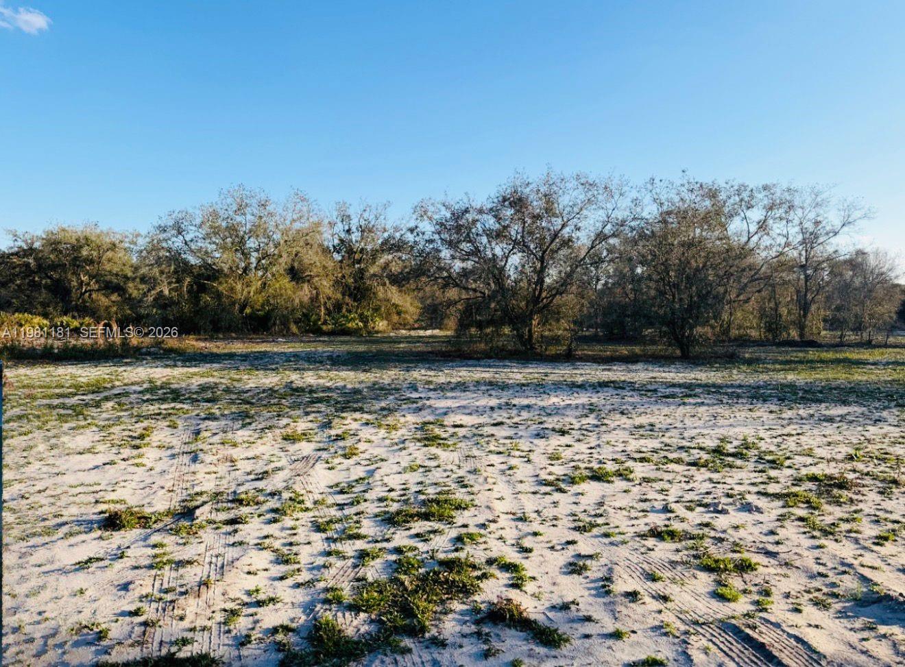 A flat, sandy lot with sparse grass and several trees under a clear blue sky — 18626 NW 284 st, Okeechobee FL 34972, OKEECHOBEE, FL