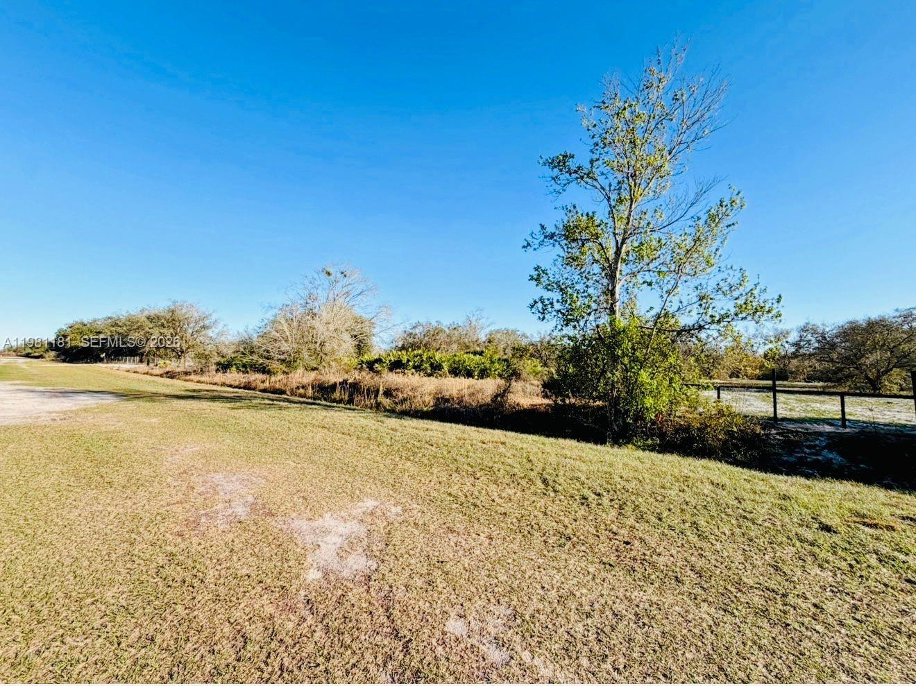 A grassy field stretches toward a line of trees under a clear blue sky — 18626 NW 284 st, Okeechobee FL 34972, OKEECHOBEE, FL