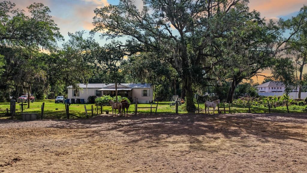 5614 WATSON ROAD, RIVERVIEW, FL — photo 3 of 6
