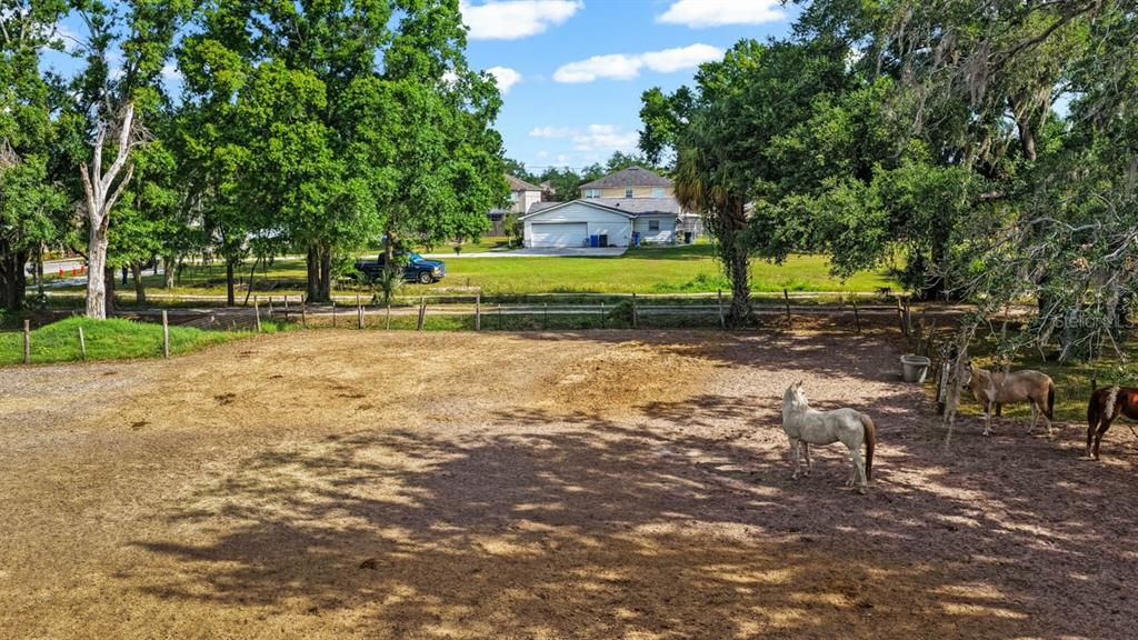 5614 WATSON ROAD, RIVERVIEW, FL — photo 4 of 6