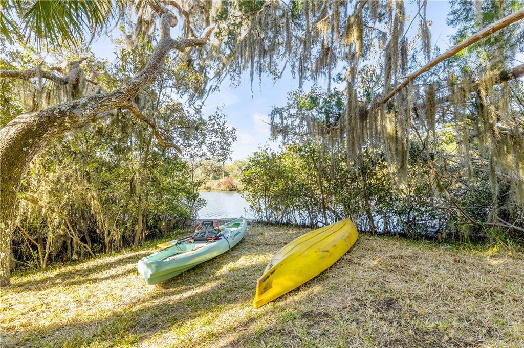 Two kayaks rest on a grassy bank near a lake under moss-draped trees — 3054 N DIXIE FREEWAY, NEW SMYRNA BEACH, FL