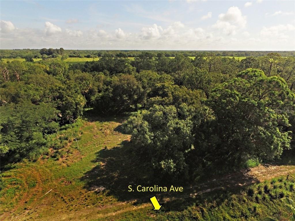 An aerial view shows a grassy clearing surrounded by dense trees and vegetation — 9810 134TH COURT, FELLSMERE, FL