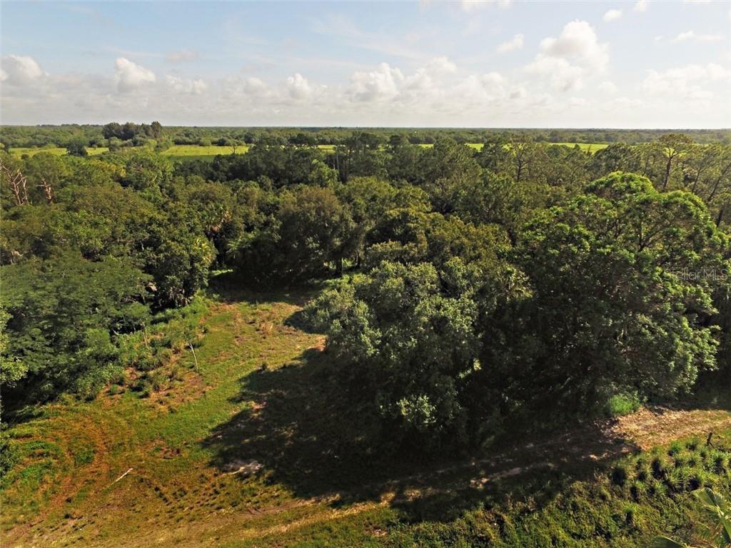 An aerial view shows a grassy clearing surrounded by dense trees and distant fields — 9810 134TH COURT, FELLSMERE, FL