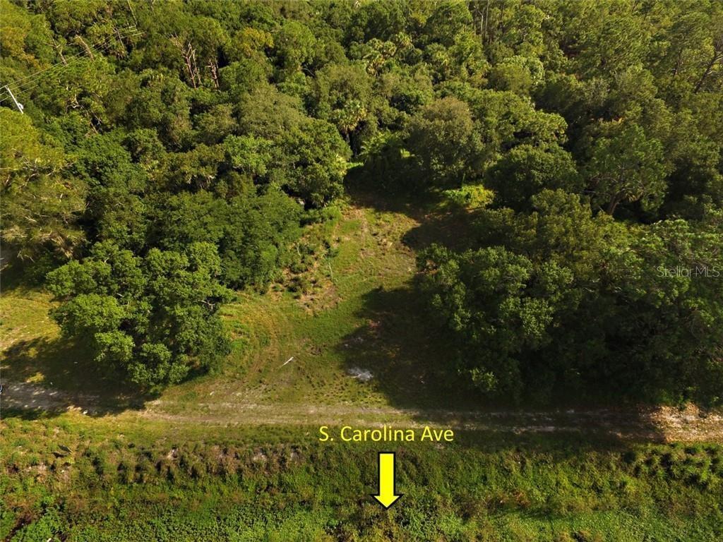 An aerial view shows a vacant, wooded lot bordering a dirt road — 9810 134TH COURT, FELLSMERE, FL