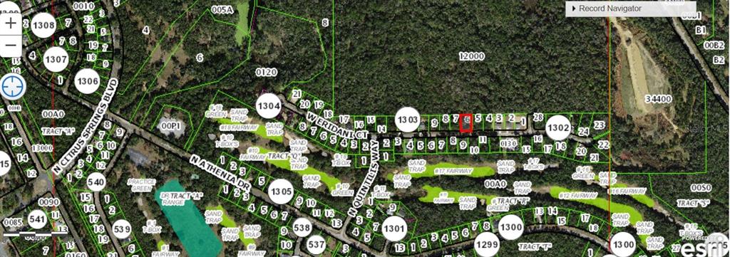 This is a property tax map showing residential lots and a golf course — 271 W ERIDANI CT, CITRUS SPRINGS, FL