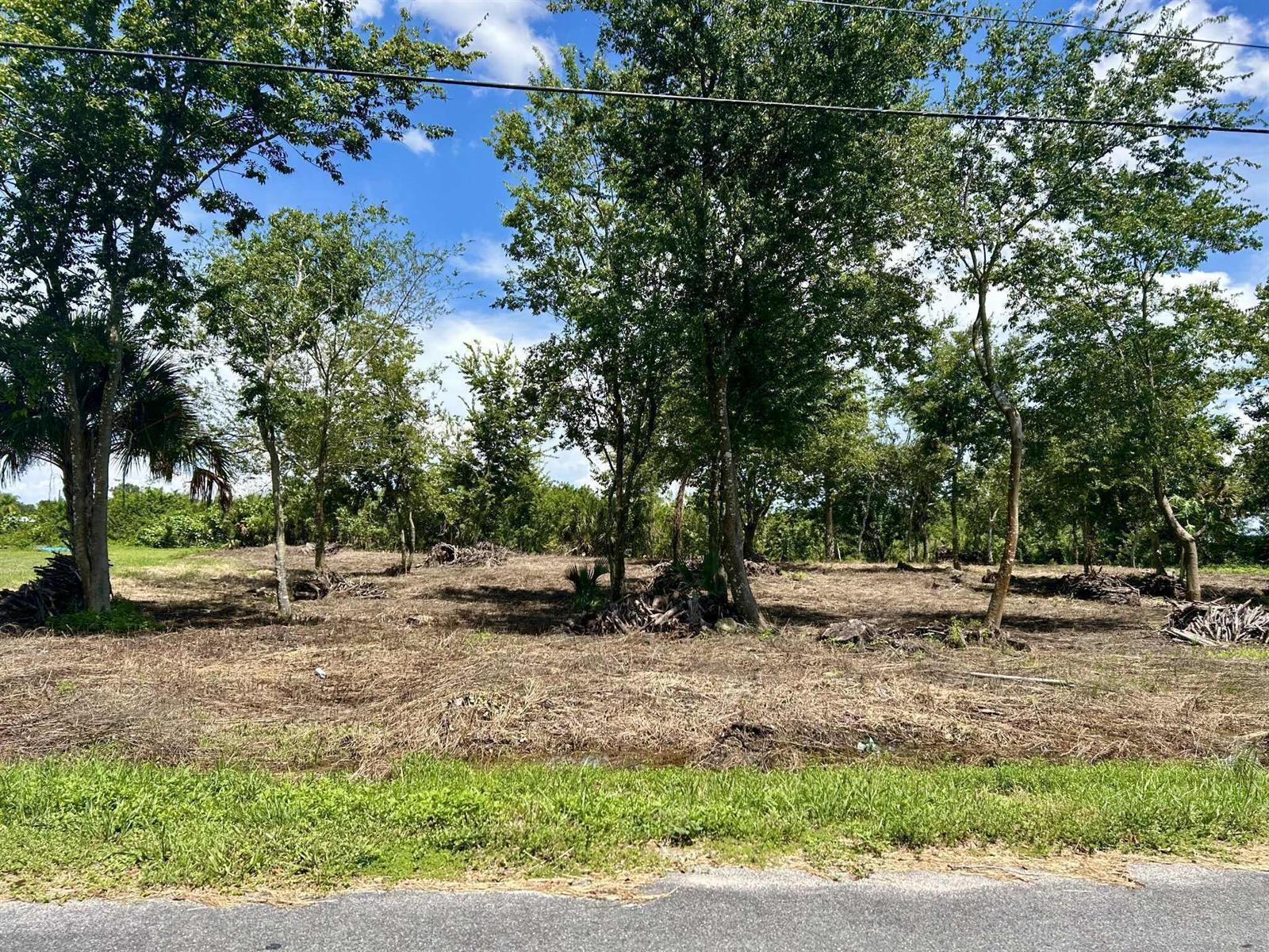 1170 Foxmoor Street, Moore Haven FL 33471