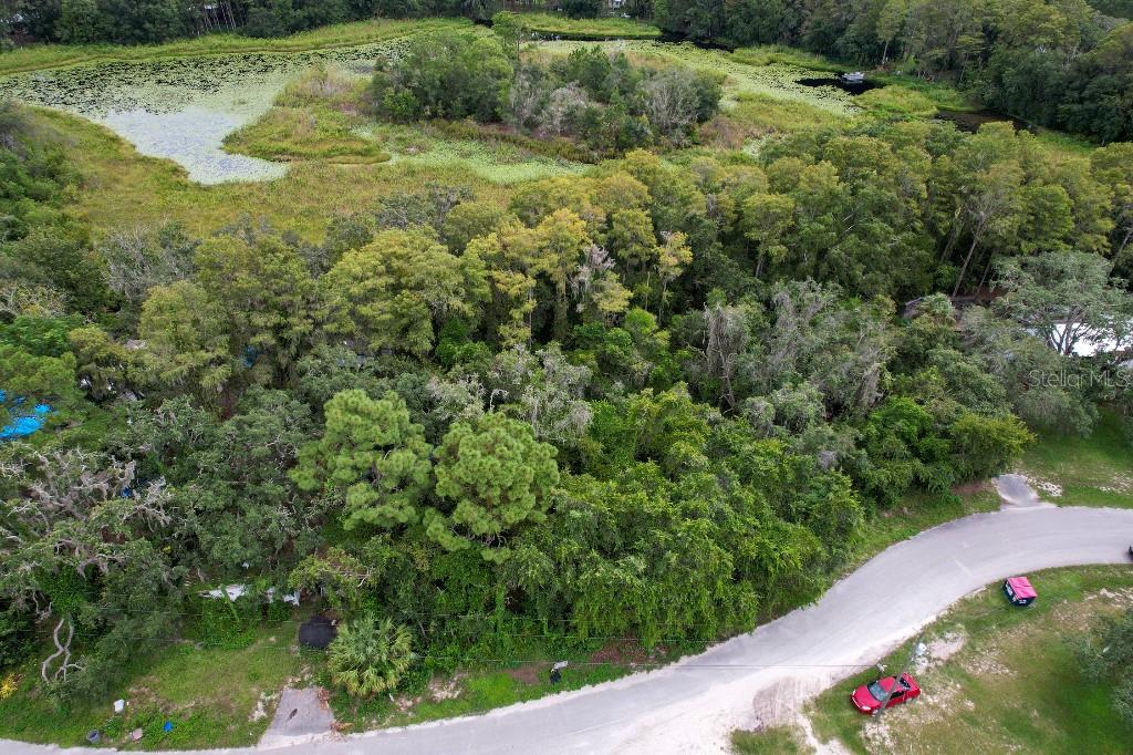 An aerial view shows a wooded lot bordering a pond next to a paved road — 33 POPLAR STREET, NEW PORT RICHEY, FL