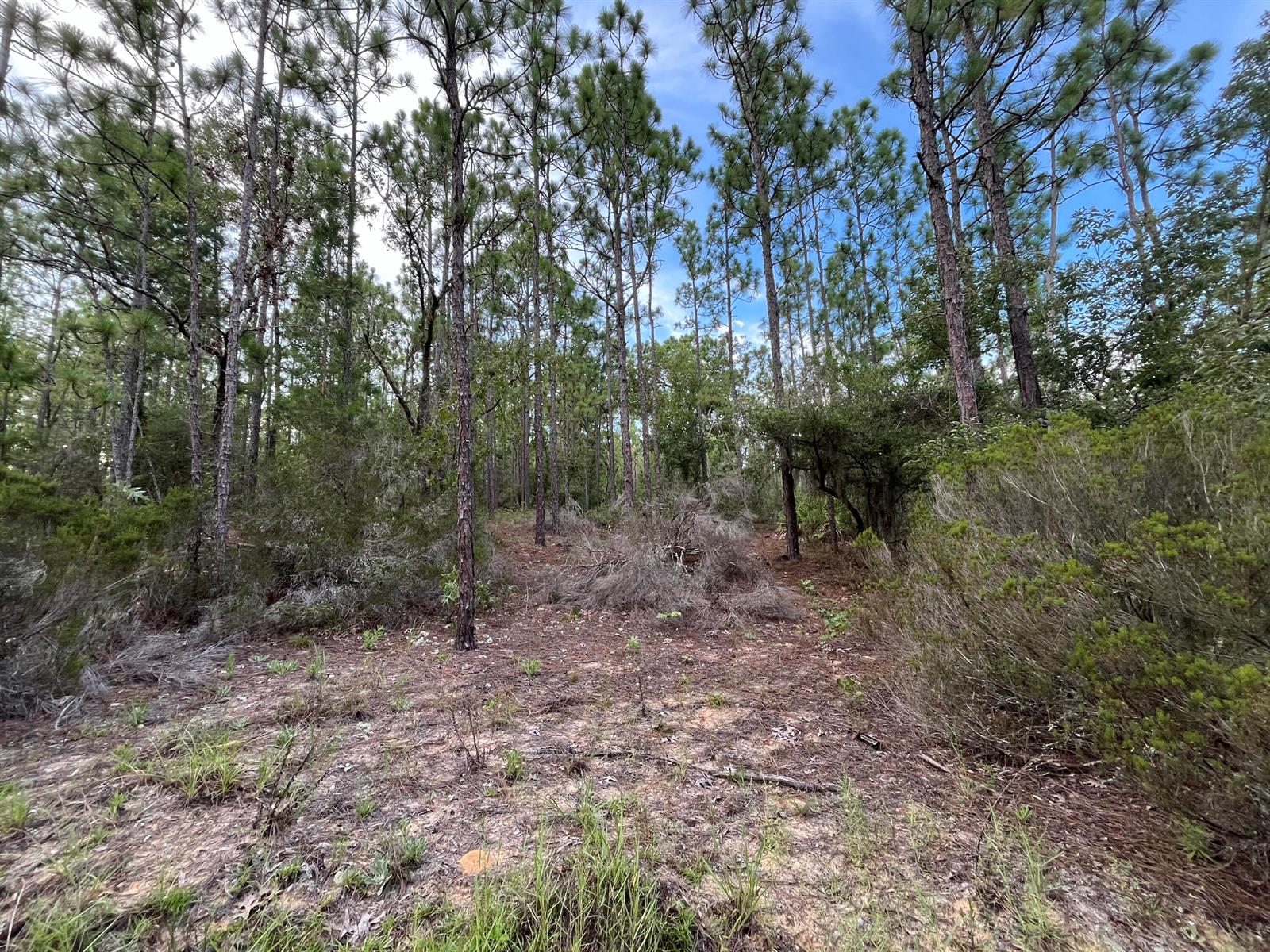 124 New York Avenue, FL 32148