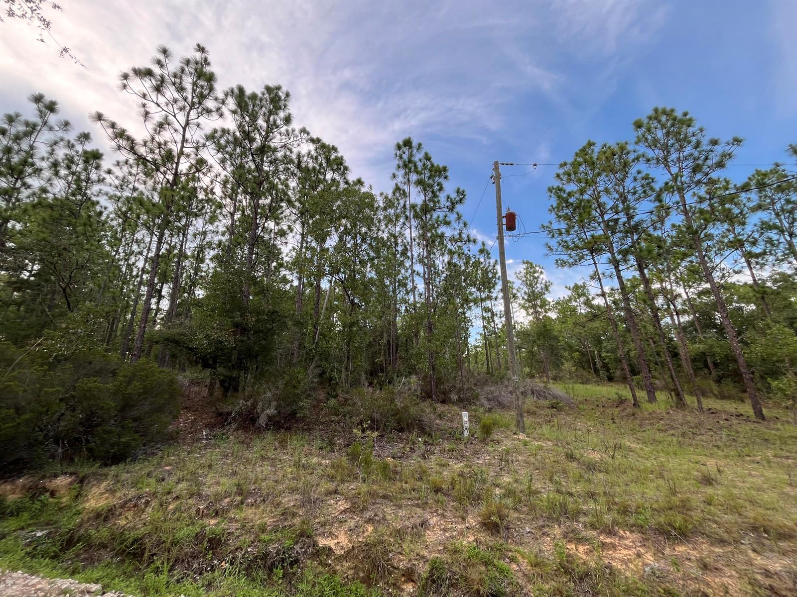A utility pole with a transformer stands in a grassy, wooded lot under a blue sky — 124 New York Avenue, FL 32148, FL