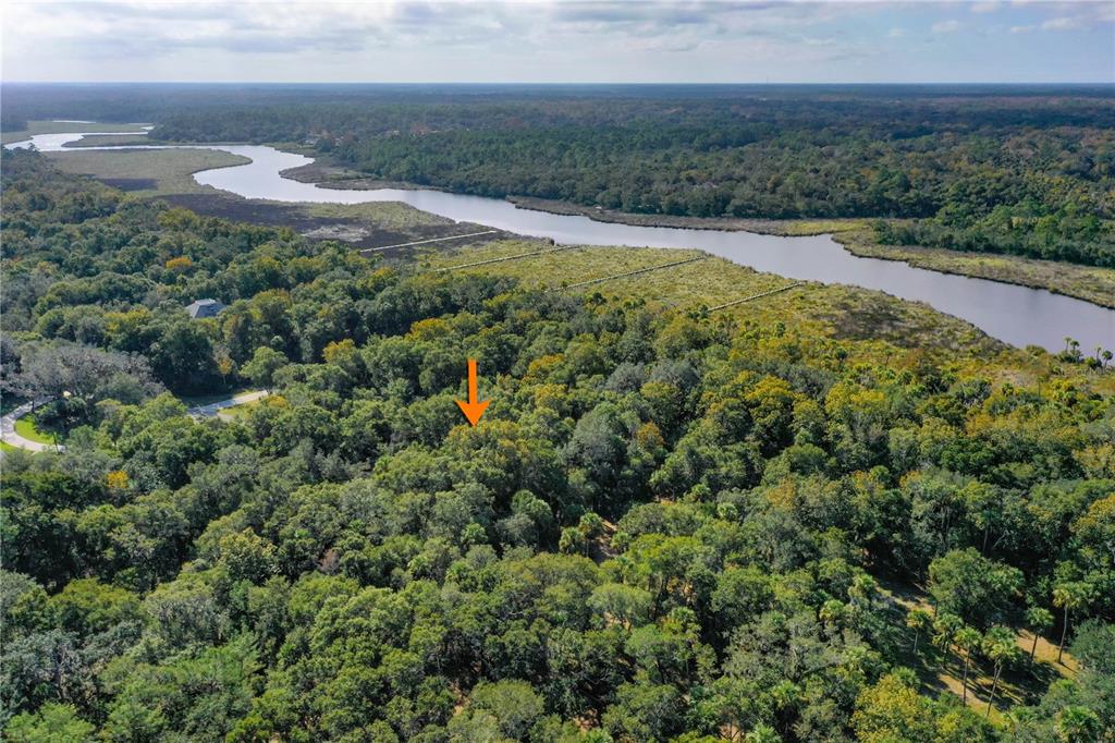An aerial view shows a wooded lot marked by an orange arrow near a river — 105 BRIDLE RIDGE COURT, FLAGLER BEACH, FL