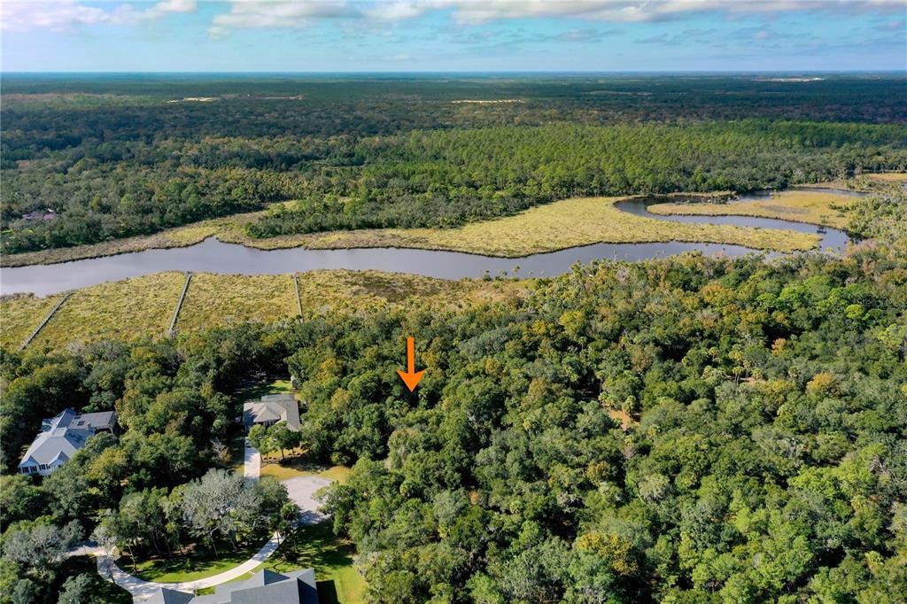 An aerial view shows a wooded lot with an orange arrow pointing toward the property — 105 BRIDLE RIDGE COURT, FLAGLER BEACH, FL