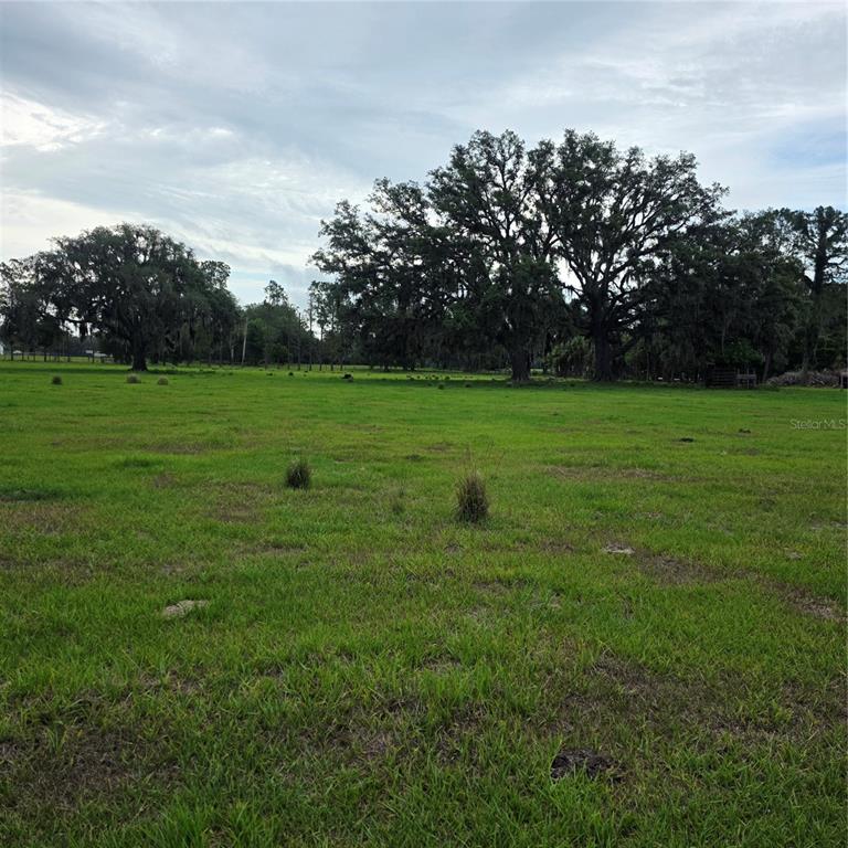 A wide, grassy field features several large, mature oak trees under a cloudy sky — VERNON DAIRY, SPRING HILL, FL