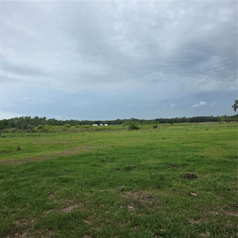 A wide, grassy field stretches toward a distant tree line under a cloudy sky — VERNON DAIRY, SPRING HILL, FL