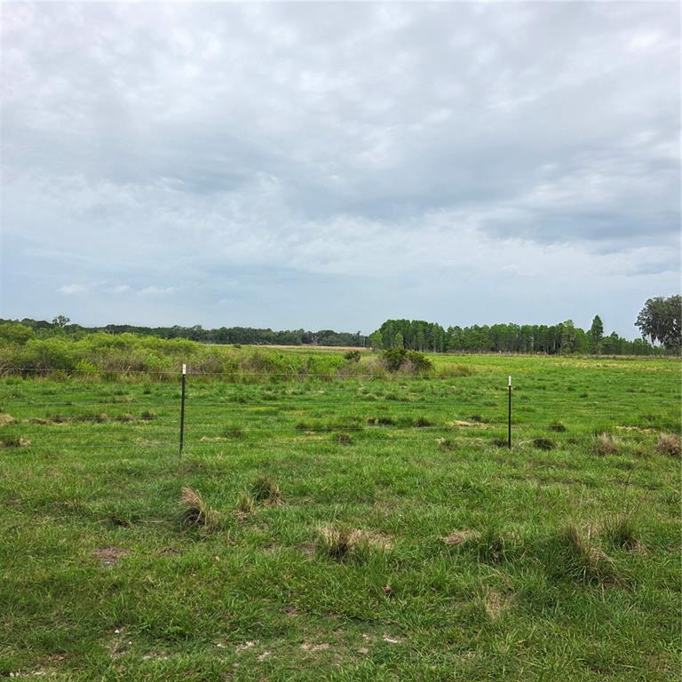 A wire fence crosses a grassy field under a cloudy sky with distant trees — VERNON DAIRY, SPRING HILL, FL