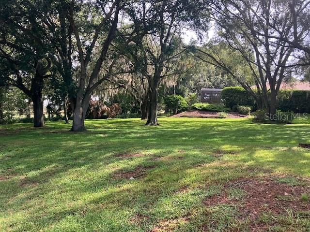 A grassy yard with large, mature trees and a small structure in the background — 116 W MAGNOLIA AVENUE, HOWEY IN THE HILLS, FL