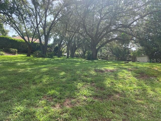 A grassy, sloped backyard features several large, mature trees providing shade — 116 W MAGNOLIA AVENUE, HOWEY IN THE HILLS, FL