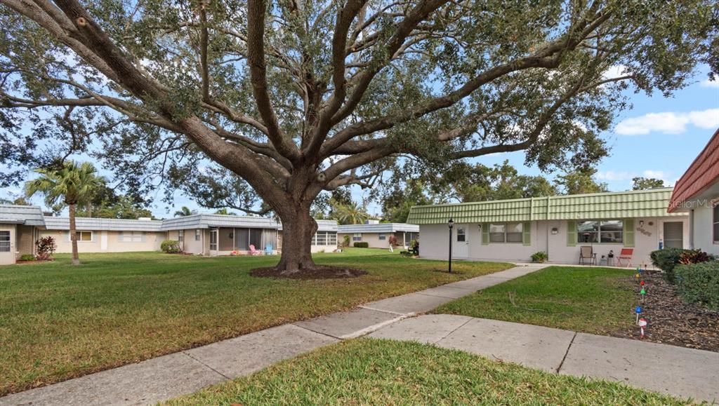 A large oak tree stands in the grassy courtyard between several single-story residential buildings — 1802 BEDFORD LANE UNIT 2, SUN CITY CENTER, FL