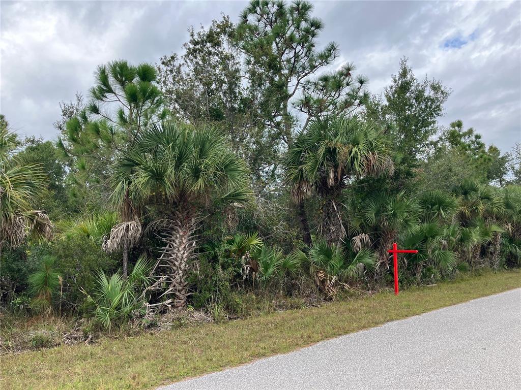 A vacant, wooded lot with palm trees and a red real estate sign — 4363 SCHNEIDER STREET, PORT CHARLOTTE, FL