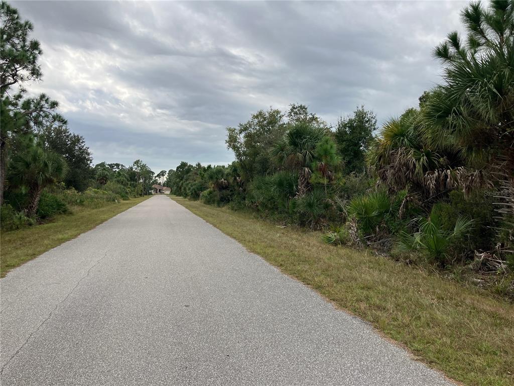 A paved road stretches into the distance, flanked by dense trees and native Florida vegetation — 4363 SCHNEIDER STREET, PORT CHARLOTTE, FL